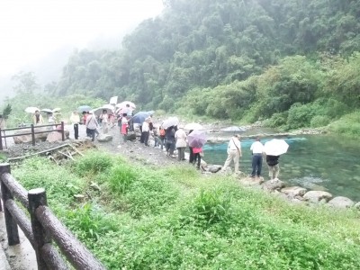 圍觀魚兒