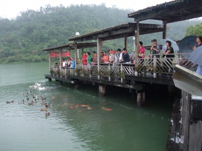 梅花湖餵魚